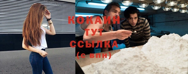 твердый Аркадак